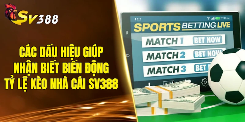 Các dấu hiệu giúp nhận biết biến động tỷ lệ kèo nhà cái SV388