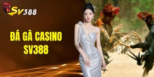 đá gà casino SV388