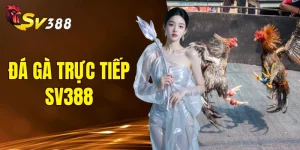 đá gà trực tiếp SV388