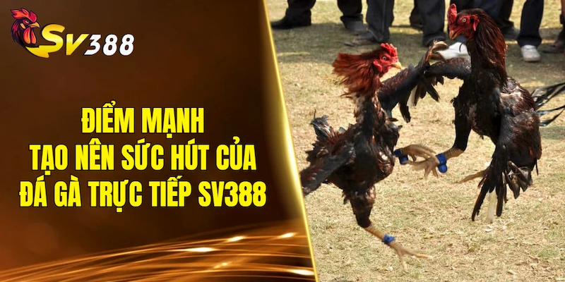 Điểm mạnh tạo nên sức hút của đá gà trực tiếp SV388