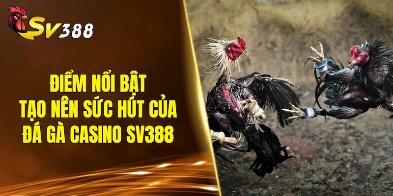 Điểm nổi bật tạo nên sức hút của đá gà casino SV388