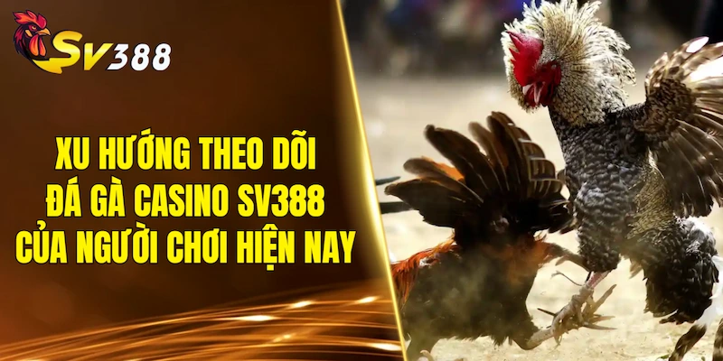 Xu hướng theo dõi đá gà casino SV388 của người chơi hiện nay